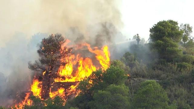 Kebakaran Hutan dan Lahan Hingga September 2019 857.756 ha