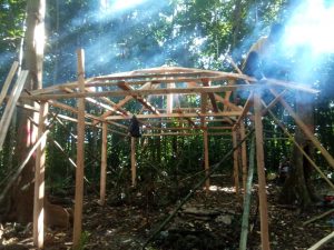IMG-20200706-WA0025 (1)