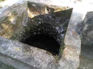 ini sumber mata air yang akan dipakai untuk proyek irigasi Desa Ngadi