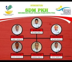 Ini struktur SDM PKH Kecamatan Dullah Utara Kota Tual