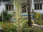 Sasi-dirumah-Raja-Maur-Ohoiwut,-di-Ohoi-Watlaarl