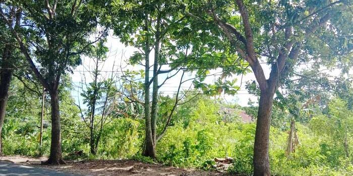 ini-loksi-lahan-kosong-samping-Puskesmas-Ohoijang-yang-sudah-diterbitkan-sertifikat-oleh-BPN-Malra