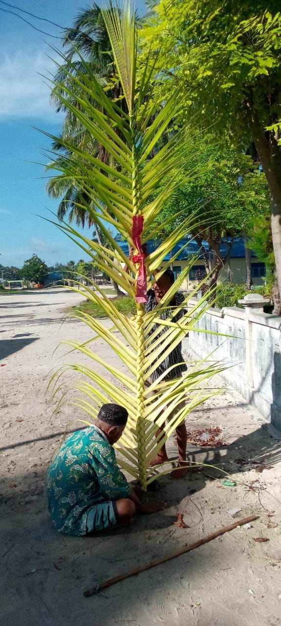 Ini bukti sasi adat Kei di Desa / Finua Tiflen , Kecamatan Kur Selatan Kota Tual yang terpasang sejal bulan Februari 2023 hingga saat ini