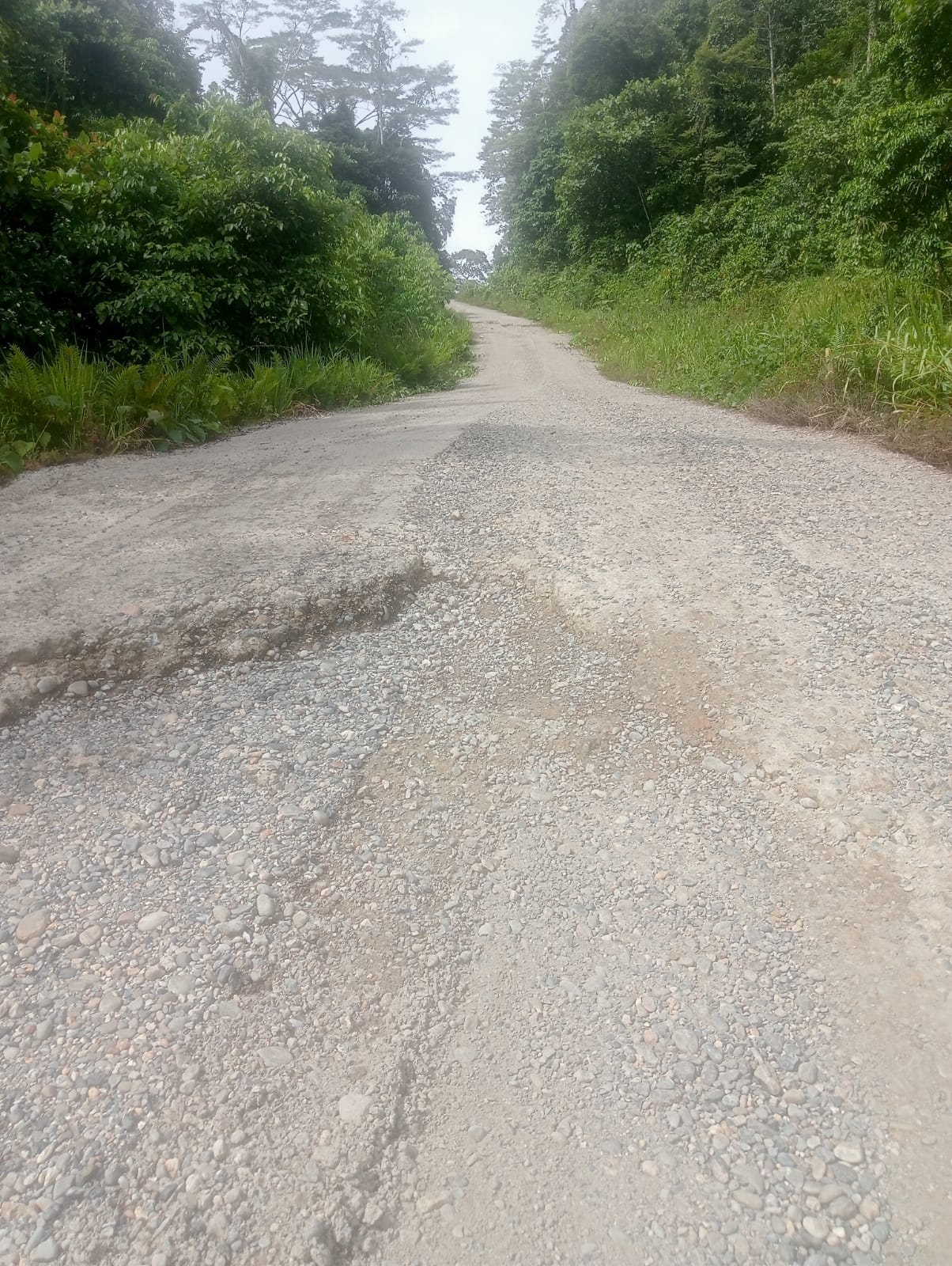 Ini bukti kondisi jalan Mogoy- Merdey Teluk Bintuni ( dok - Tualnews.com)