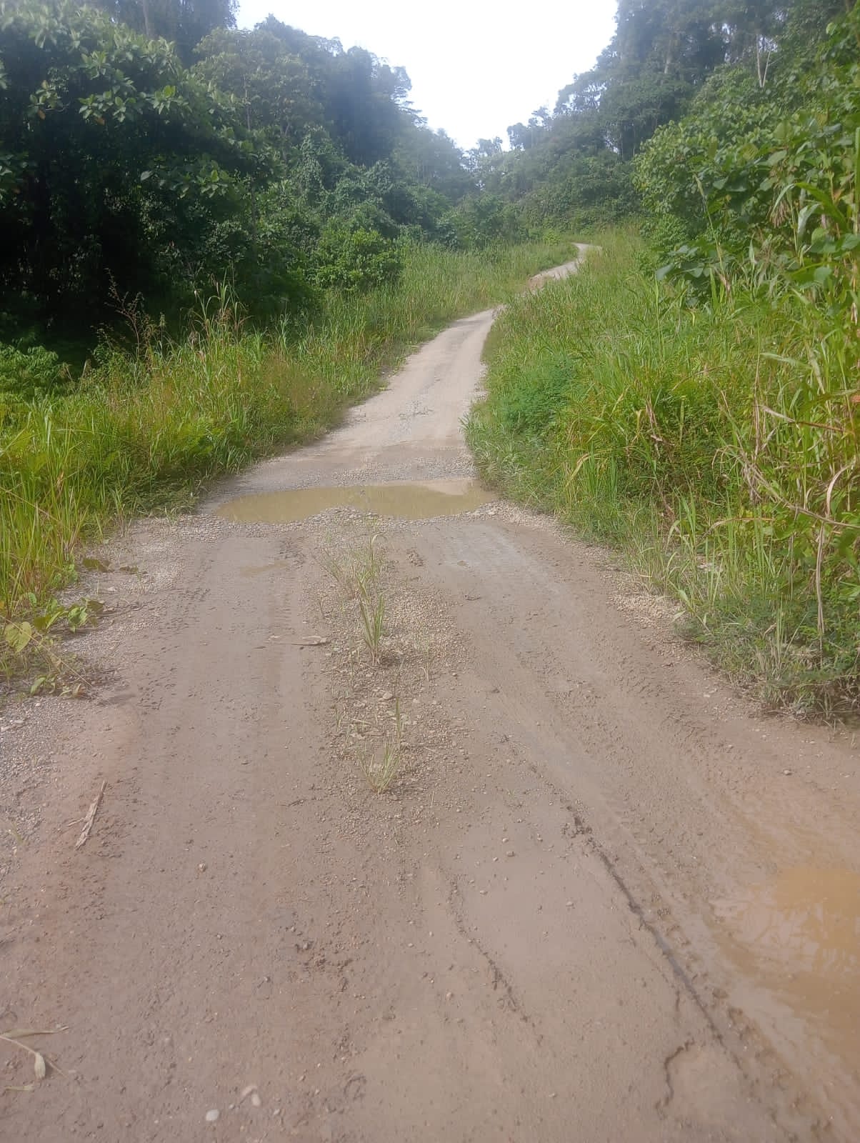 Ini bukti kondisi jalan Mogoy- Merdey Teluk Bintuni ( dok - Tualnews.com)