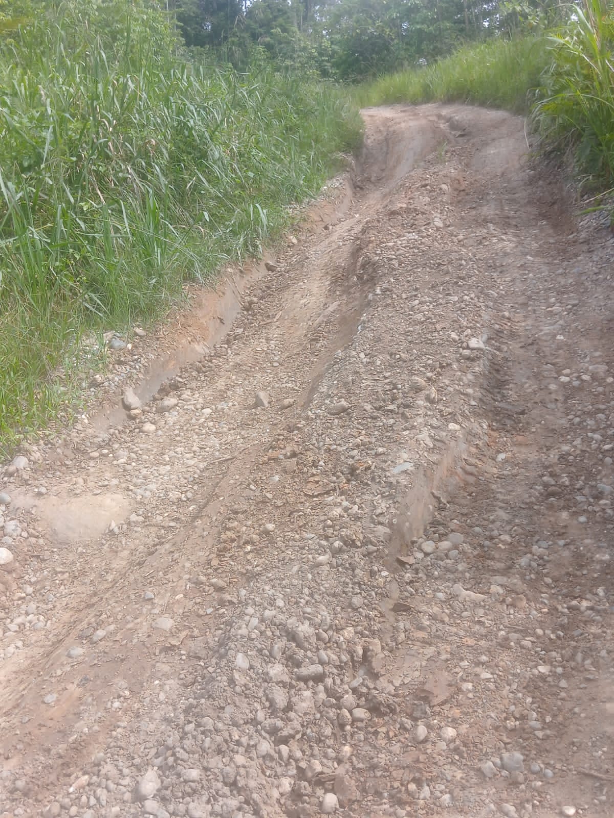 Ini bukti kondisi jalan Mogoy- Merdey Teluk Bintuni ( dok - Tualnews.com)