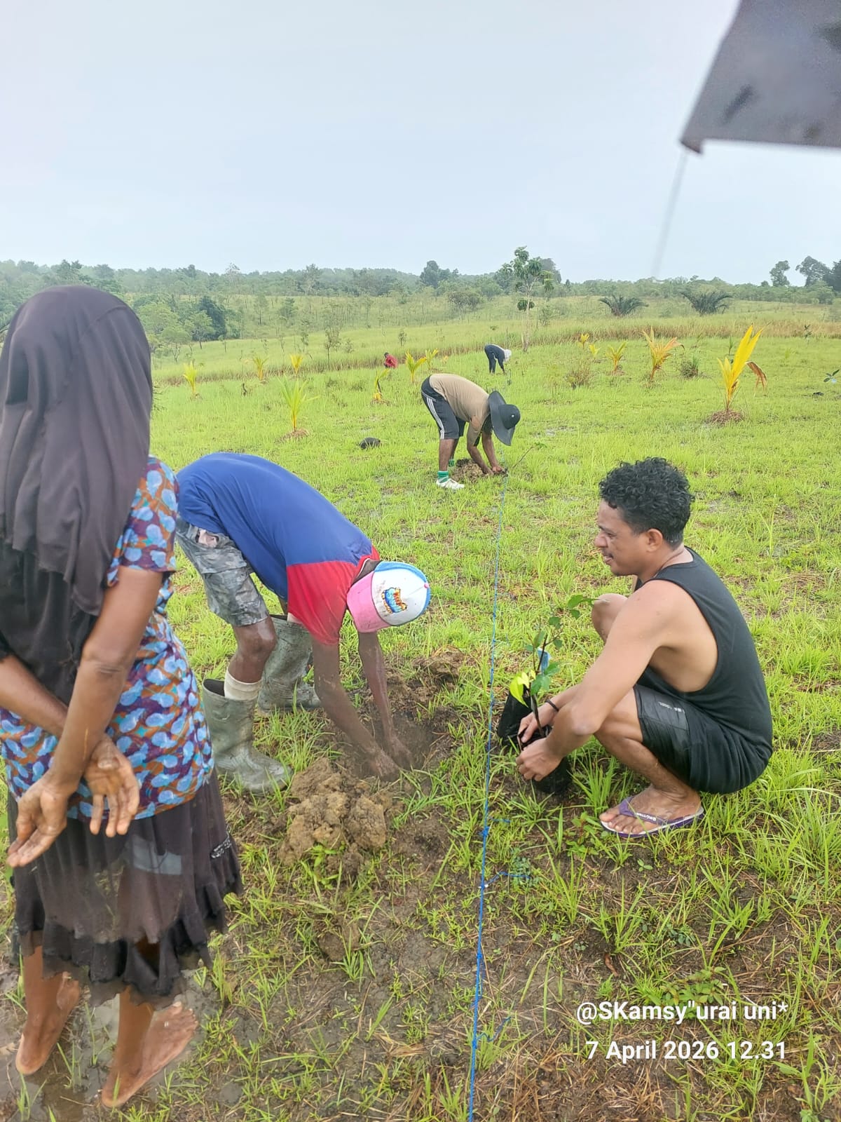 Salah satu pemerhati lingkungan di Kabupaten Kepulauan Aru, Simon Kamsy, dalam keterangan tertulisnya kepada media ini, Selasa 30 Juni 2026, menyebutkan dalam pelaksanaannya, berbagai jenis tanaman ditanam, baik tanaman kehutanan maupun tanaman produktif.