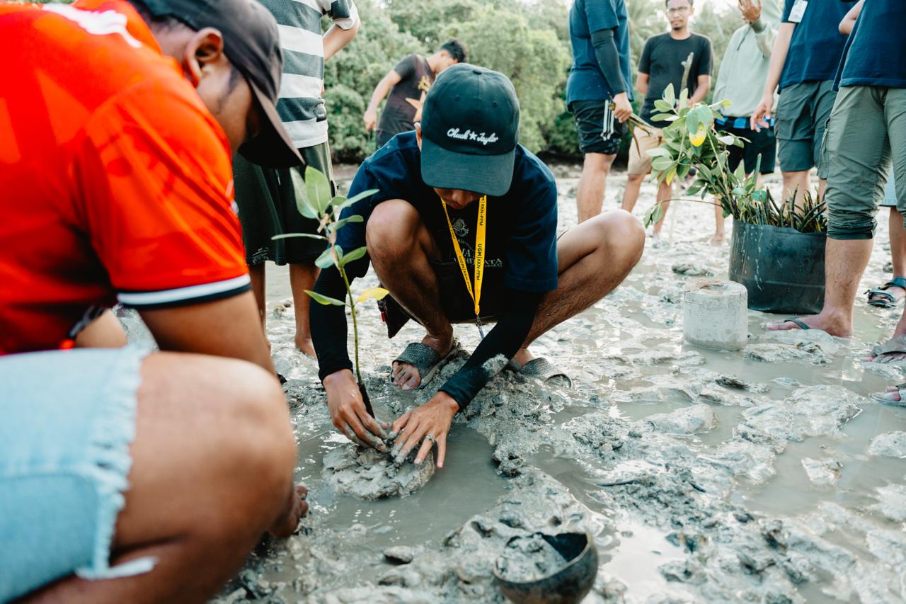 Mahasiswa Kuliah Kerja Nyata (KKN) Universitas Gadjah Mada (UGM) bersama Universitas Pattimura (Unpatti) mengembangkan metode "pot semen" untuk meningkatkan keberhasilan rehabilitasi mangrove di kawasan pantai terbuka yang selama ini dikenal memiliki gelombang kuat.